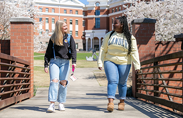 students on bridge